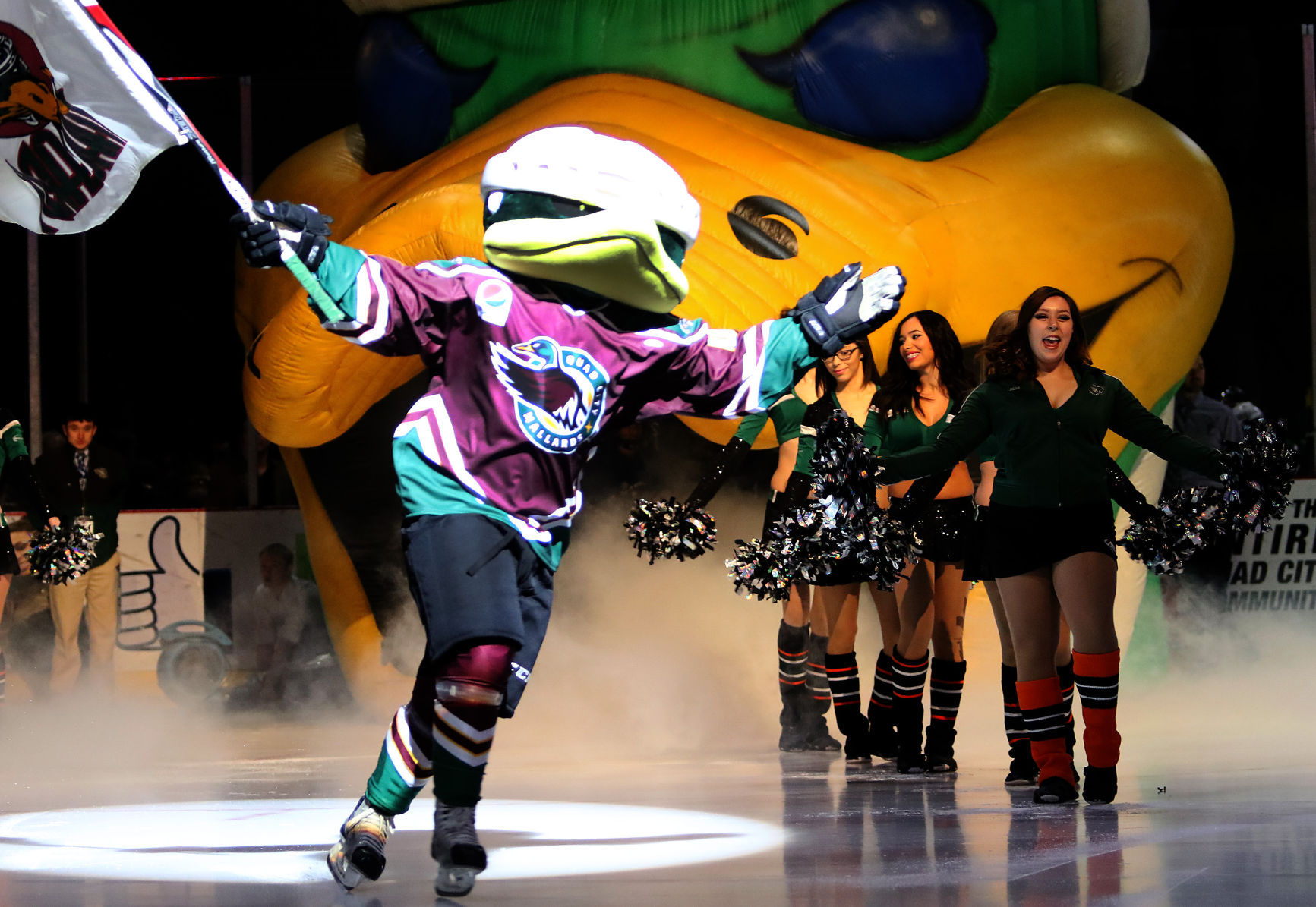 Outtakes - Mallards
